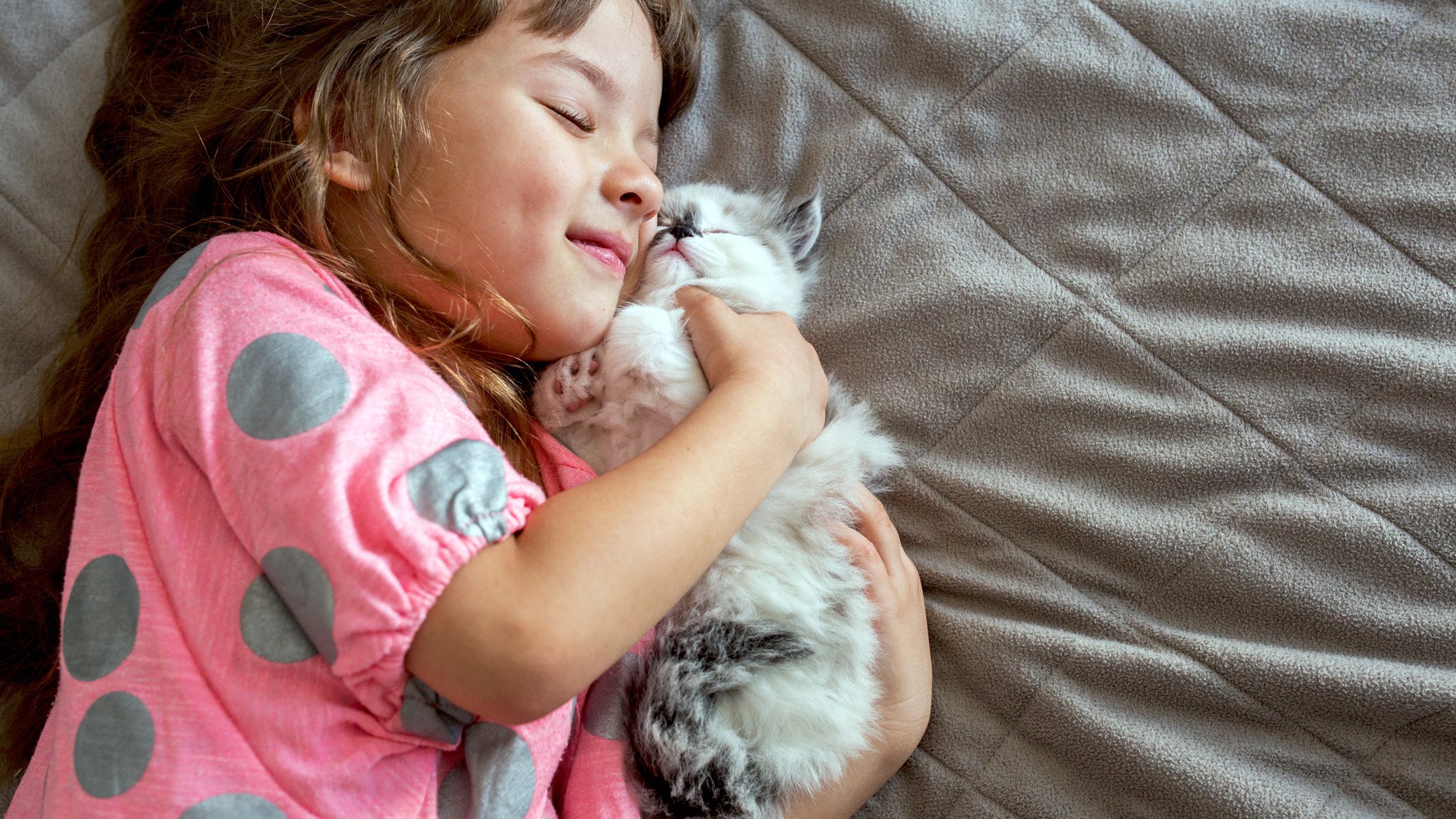 why-do-cats-bring-their-babies-to-their-human